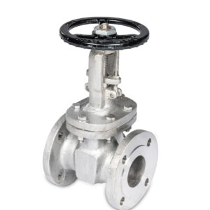 Gate Valve - 3 inch
