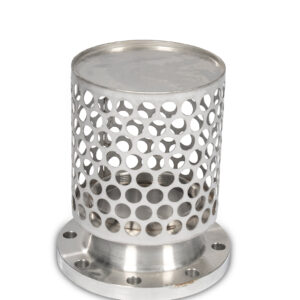 6 inch Flange Screen